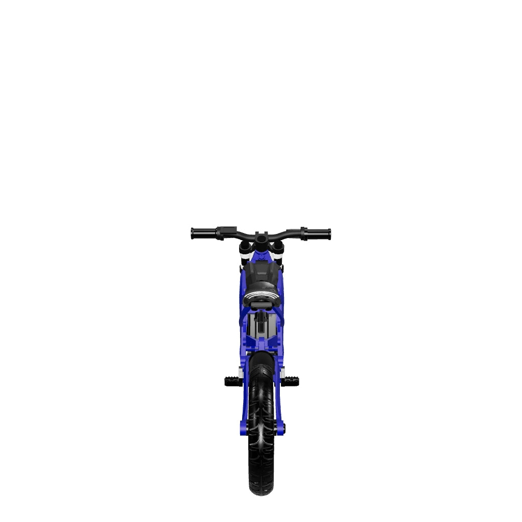 Custom Mini Surron